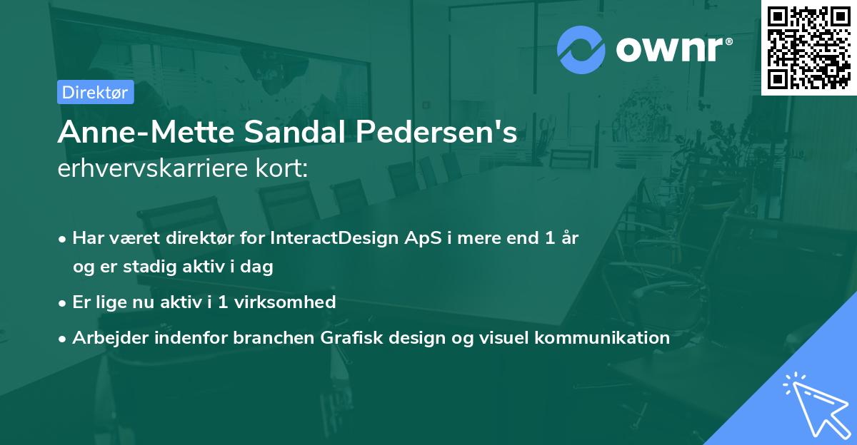 Anne-Mette Sandal Pedersen's erhvervskarriere kort