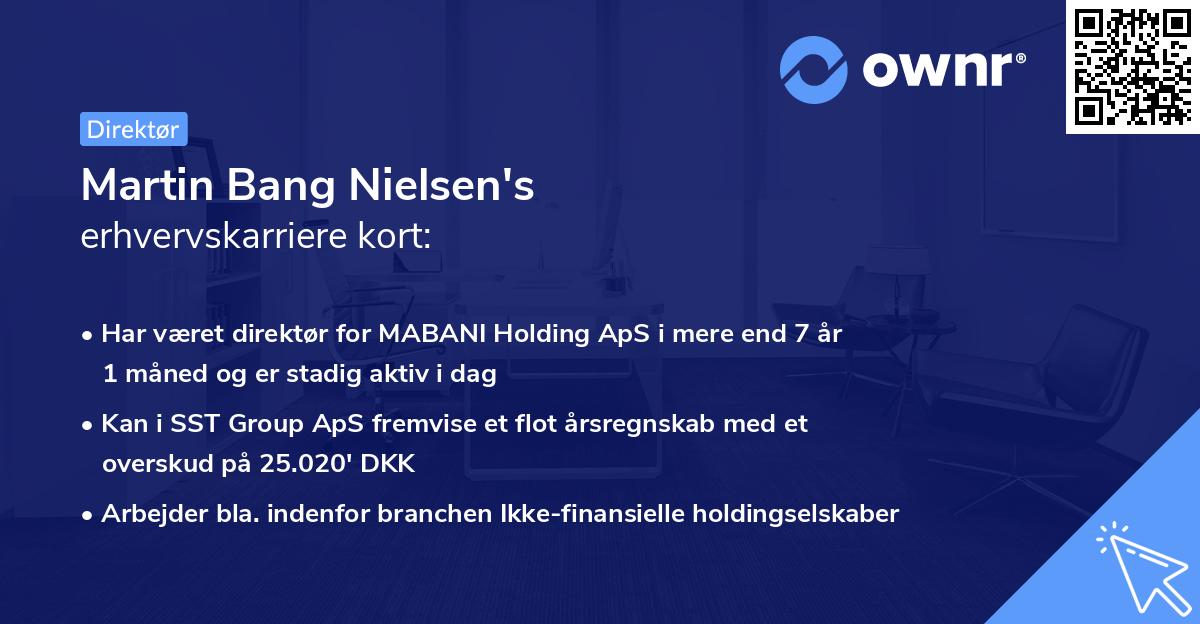 Martin Bang Nielsen's erhvervskarriere kort