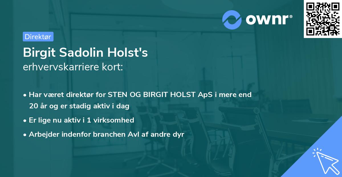 Birgit Sadolin Holst's erhvervskarriere kort