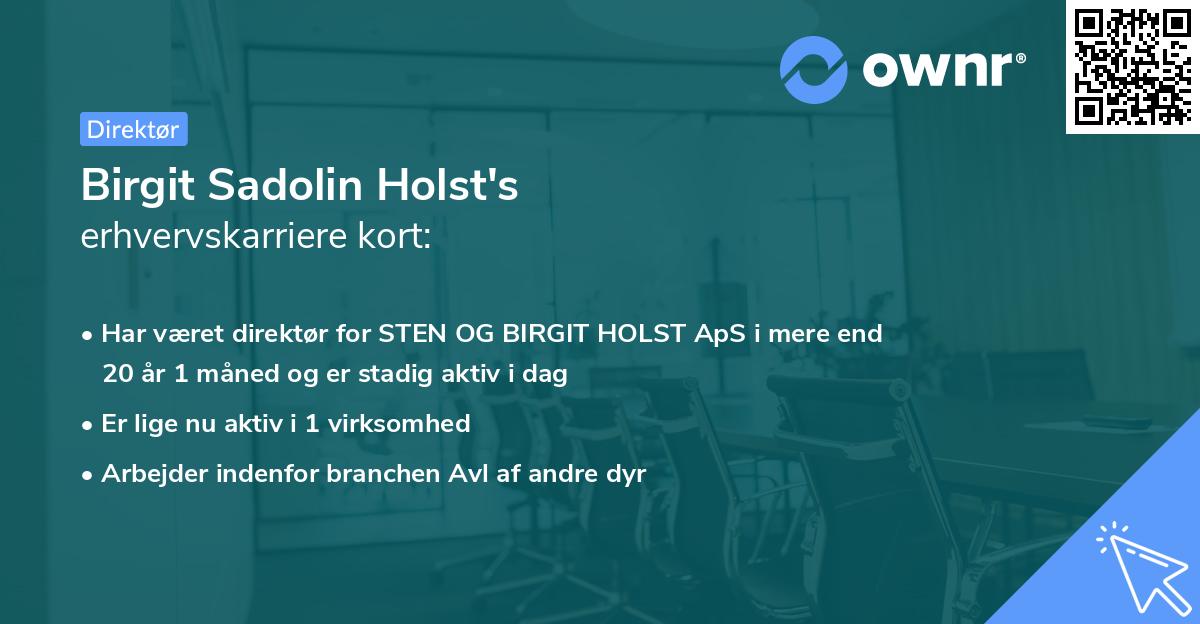 Birgit Sadolin Holst's erhvervskarriere kort