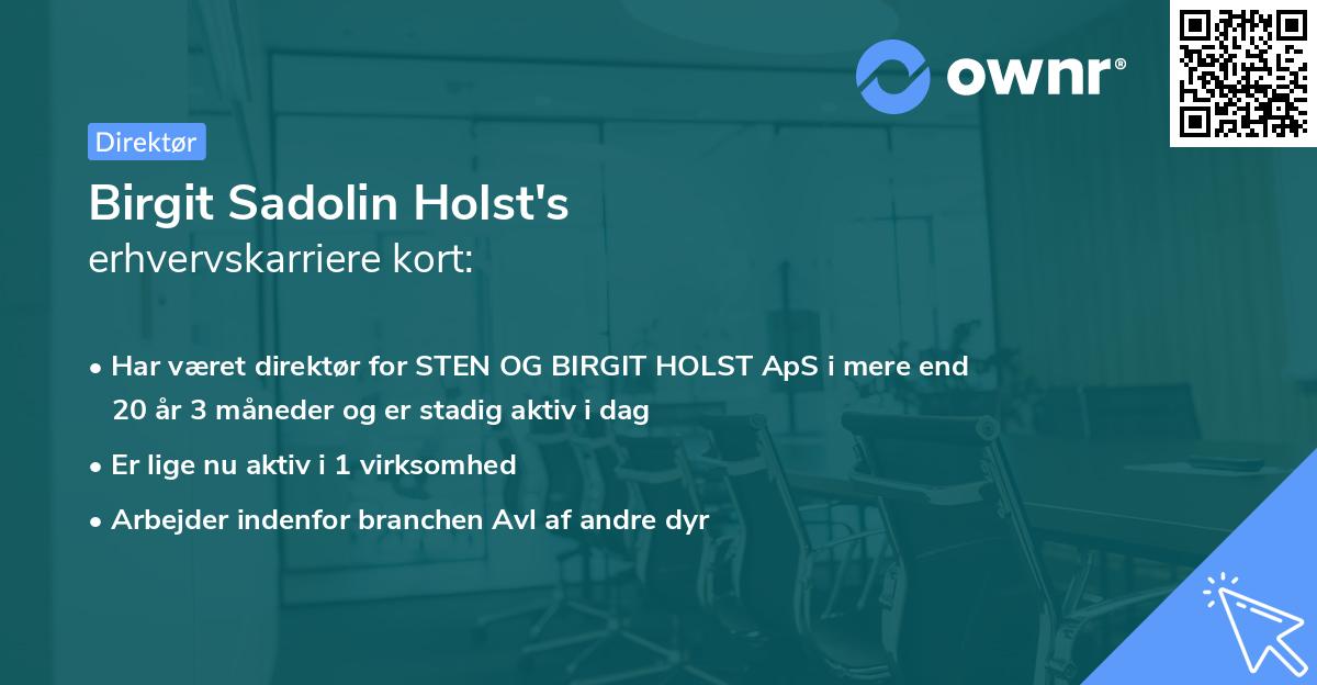 Birgit Sadolin Holst's erhvervskarriere kort