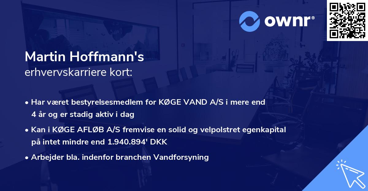 Martin Hoffmann's erhvervskarriere kort