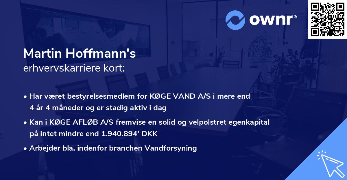 Martin Hoffmann's erhvervskarriere kort