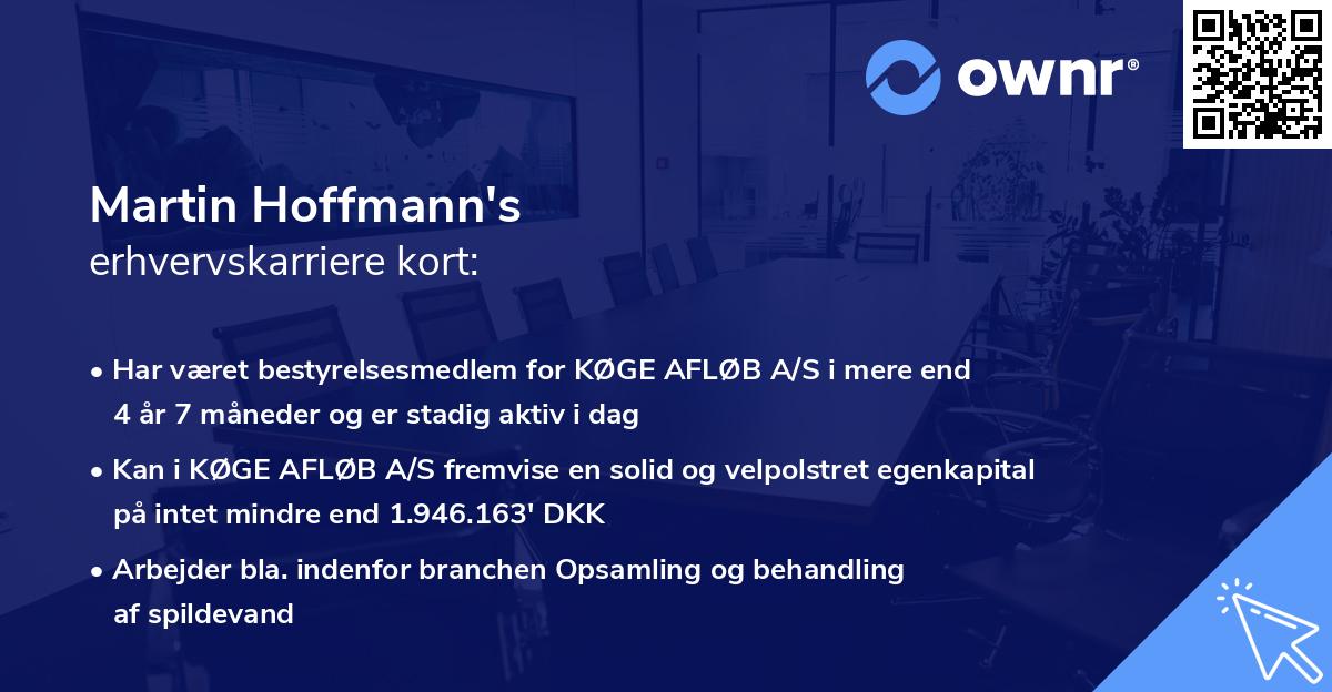 Martin Hoffmann's erhvervskarriere kort