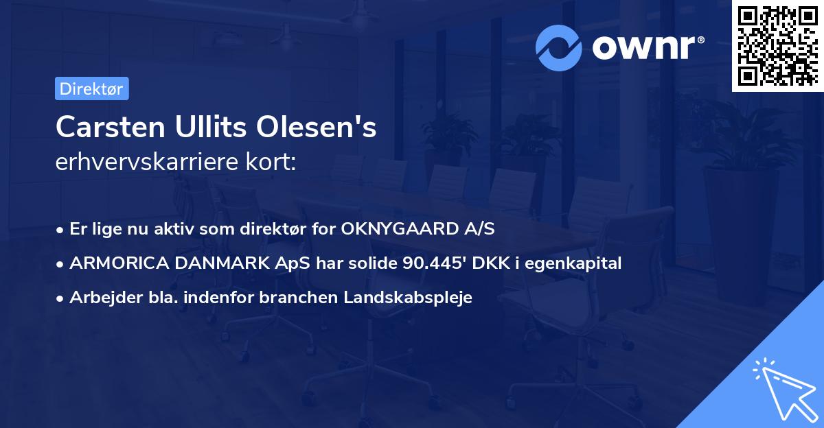 Carsten Ullits Olesen's erhvervskarriere kort