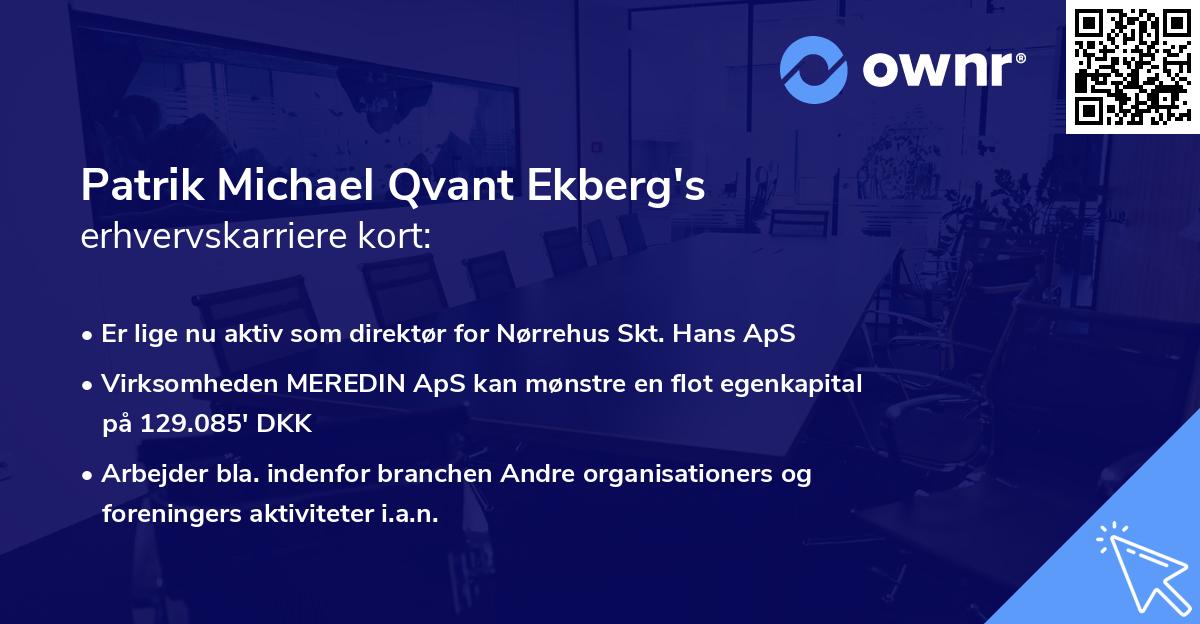 Patrik Michael Qvant Ekberg's erhvervskarriere kort