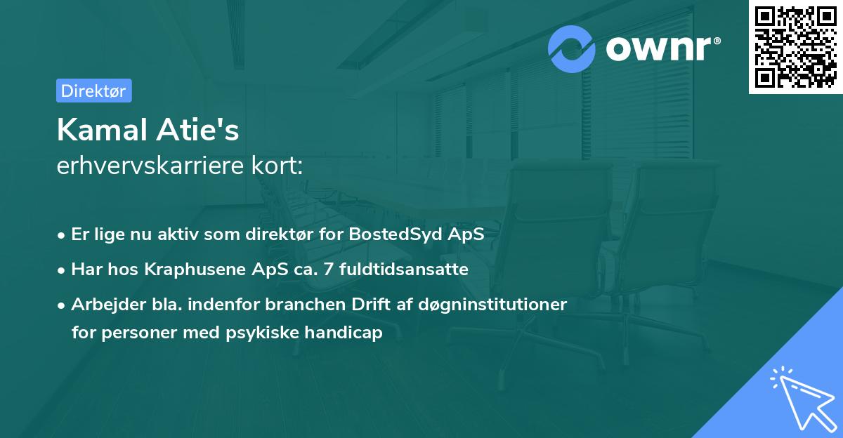 Kamal Atie's erhvervskarriere kort