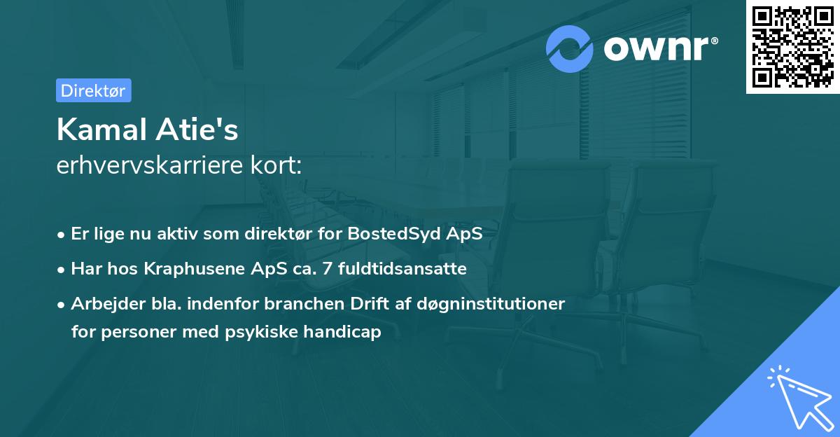 Kamal Atie's erhvervskarriere kort