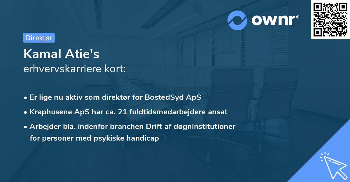 Kamal Atie's erhvervskarriere kort