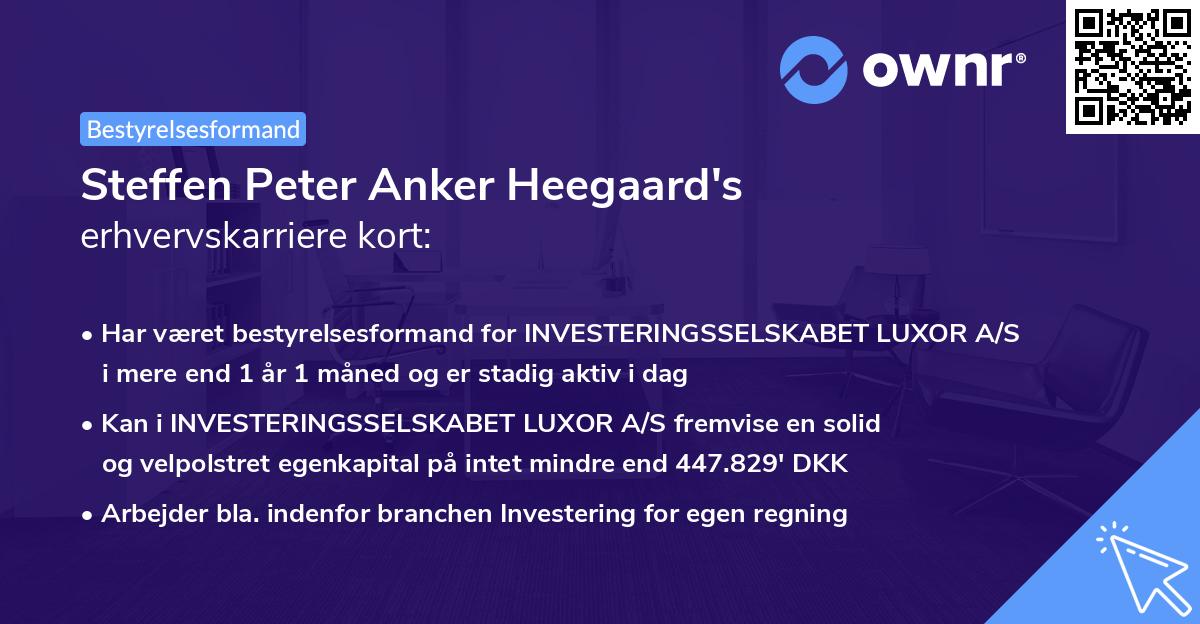 Steffen Peter Anker Heegaard's erhvervskarriere kort