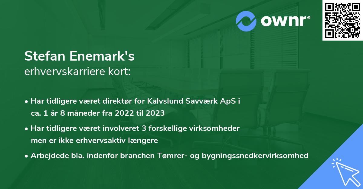 Stefan Enemark's erhvervskarriere kort