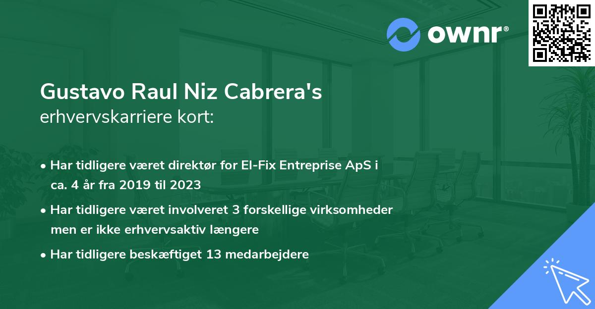 Gustavo Raul Niz Cabrera's erhvervskarriere kort