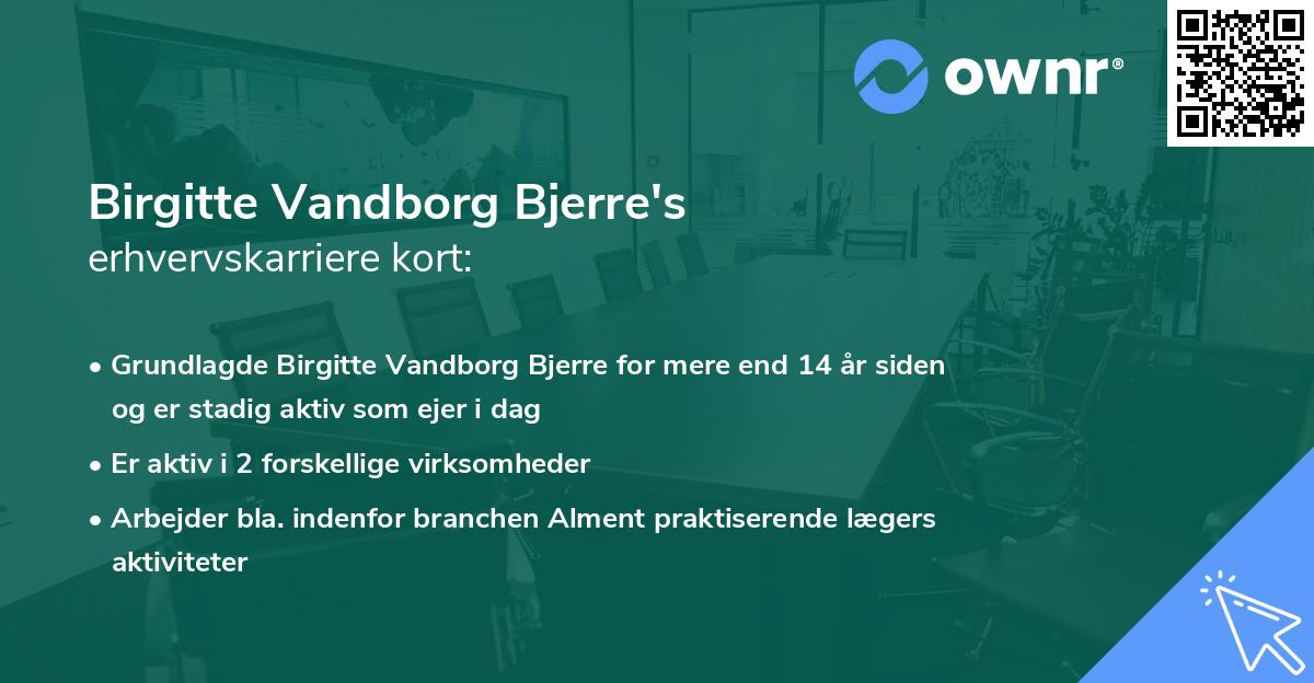 Birgitte Vandborg Bjerre's erhvervskarriere kort