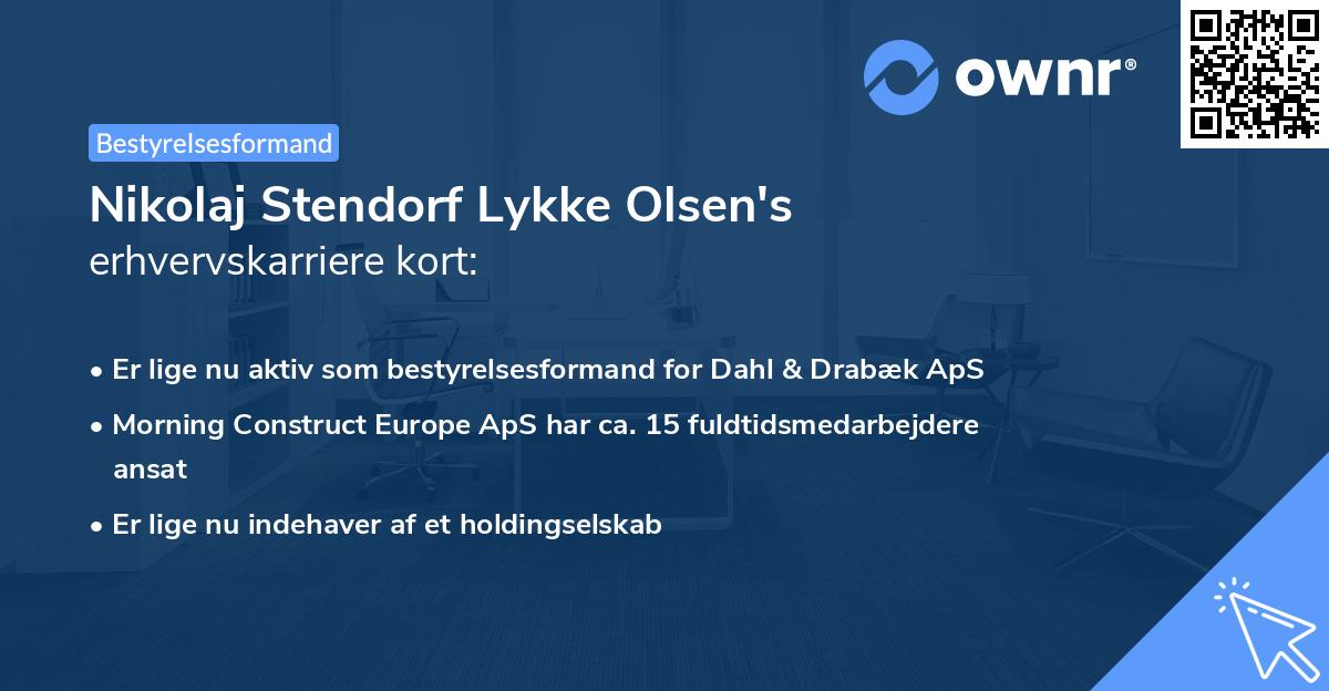 Nikolaj Stendorf Lykke Olsen's erhvervskarriere kort