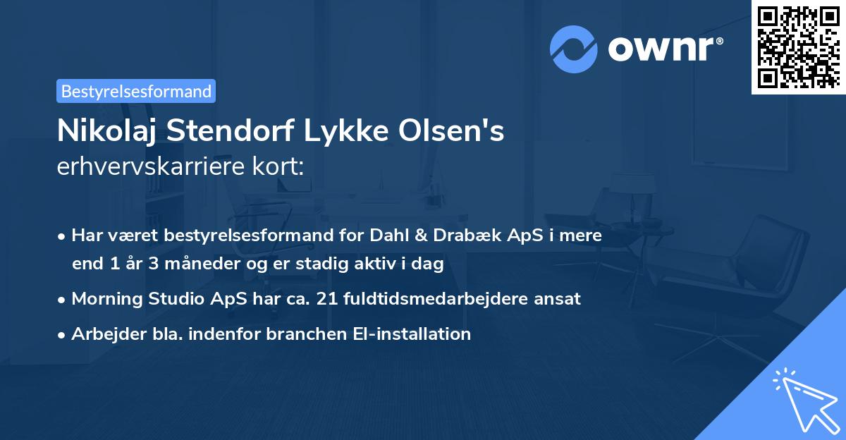 Nikolaj Stendorf Lykke Olsen's erhvervskarriere kort
