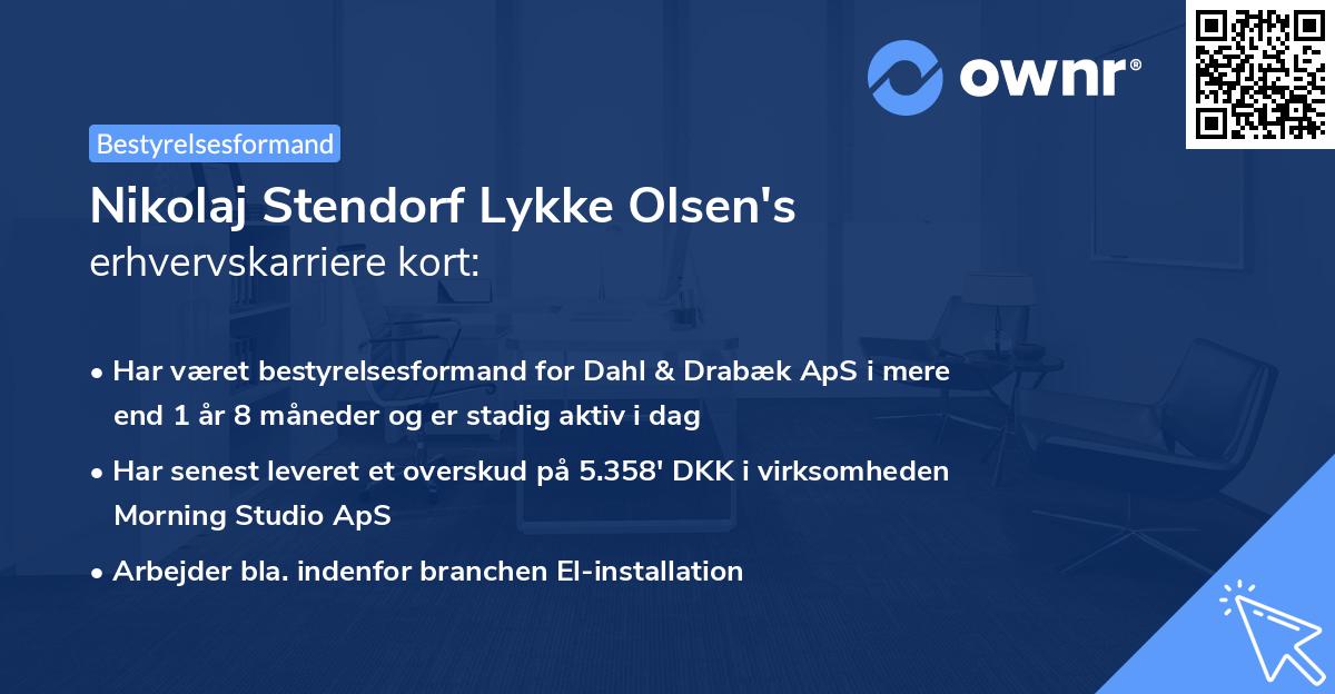 Nikolaj Stendorf Lykke Olsen's erhvervskarriere kort