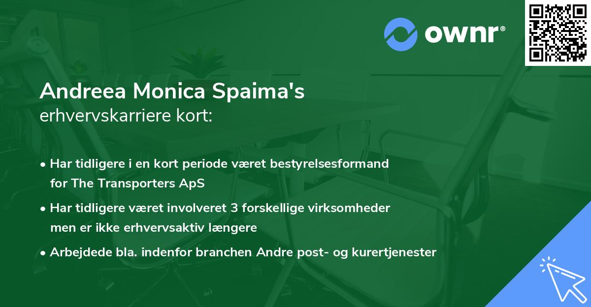 Andreea Monica Spaima's erhvervskarriere kort