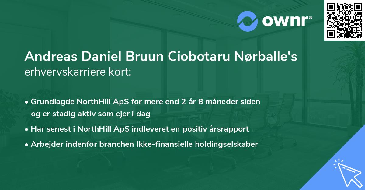 Andreas Daniel Bruun Ciobotaru Nørballe's erhvervskarriere kort