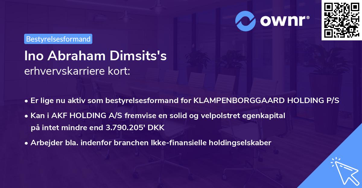 Ino Abraham Dimsits's erhvervskarriere kort