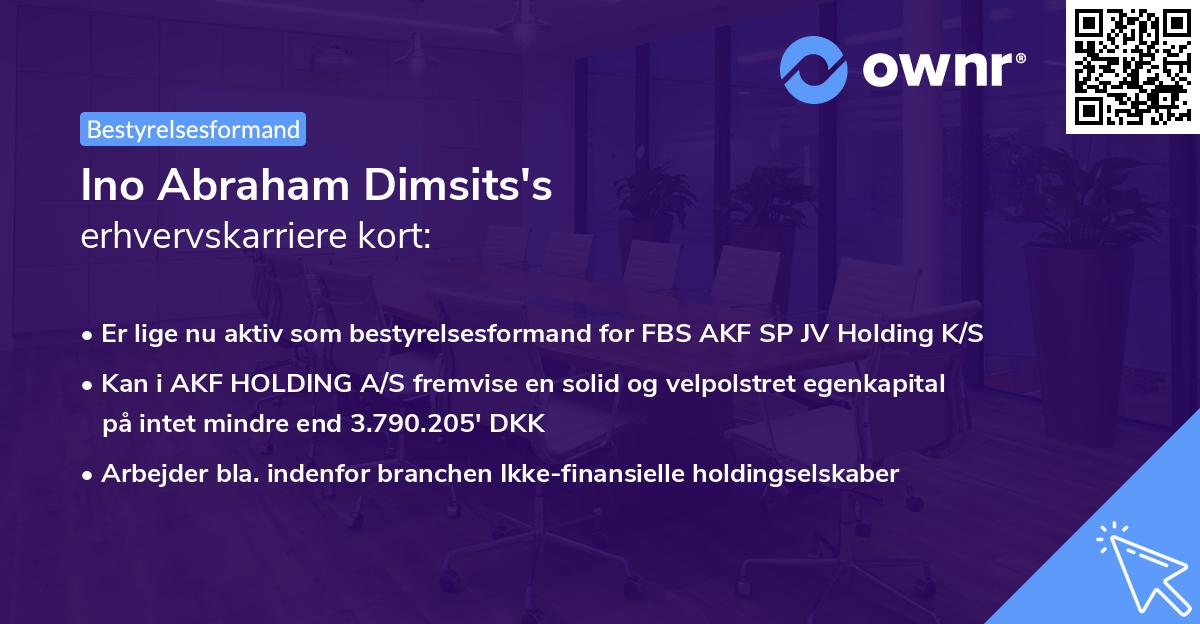 Ino Abraham Dimsits's erhvervskarriere kort