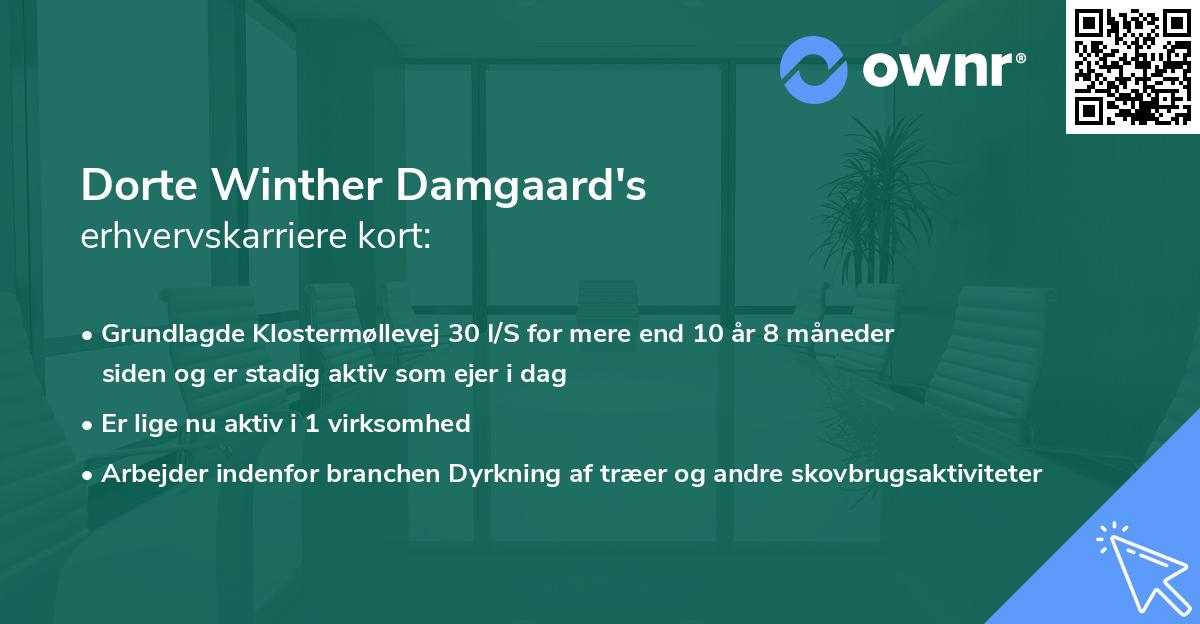 Dorte Winther Damgaard's erhvervskarriere kort