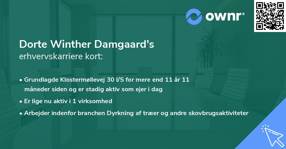 Dorte Winther Damgaard's erhvervskarriere kort