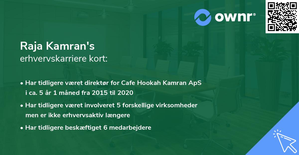 Raja Kamran's erhvervskarriere kort
