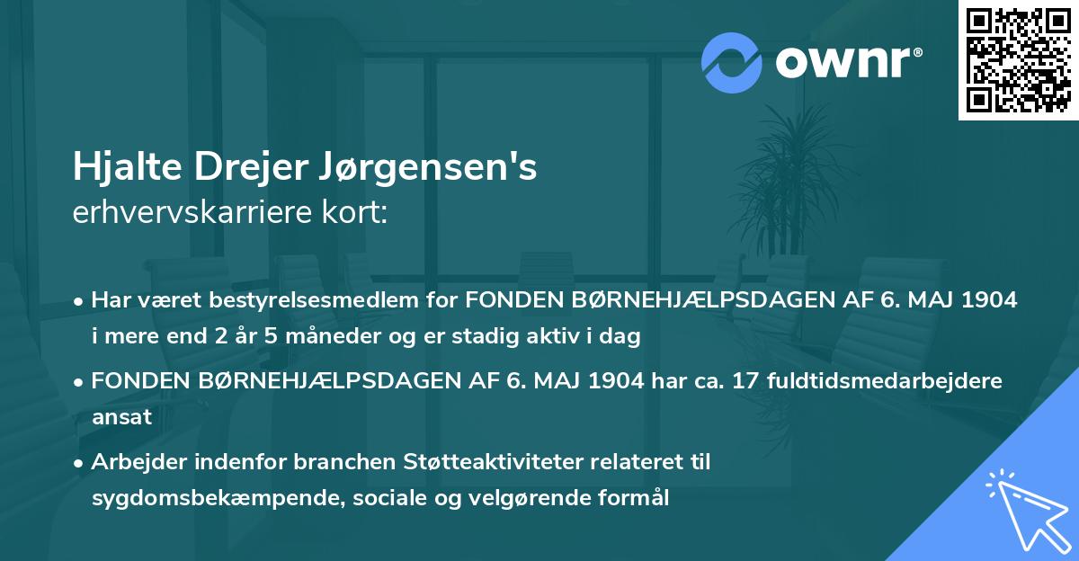 Hjalte Drejer Jørgensen's erhvervskarriere kort