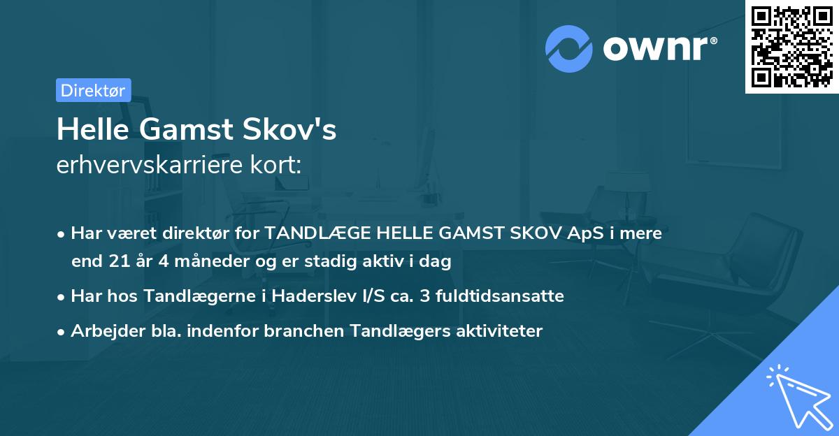 Helle Gamst Skov's erhvervskarriere kort