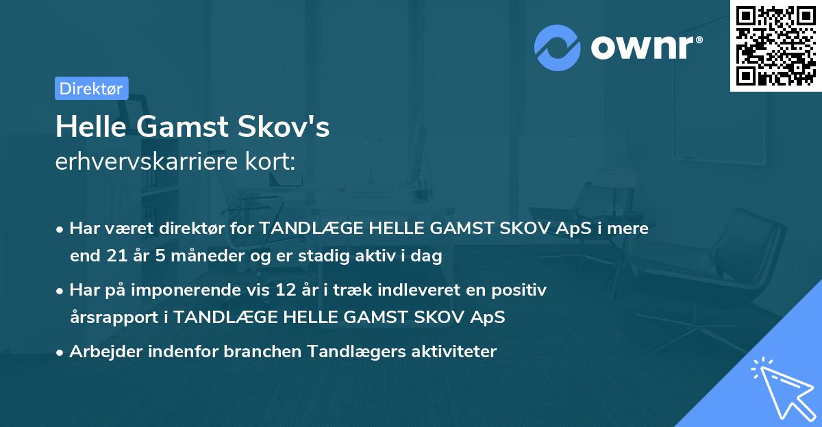 Helle Gamst Skov's erhvervskarriere kort