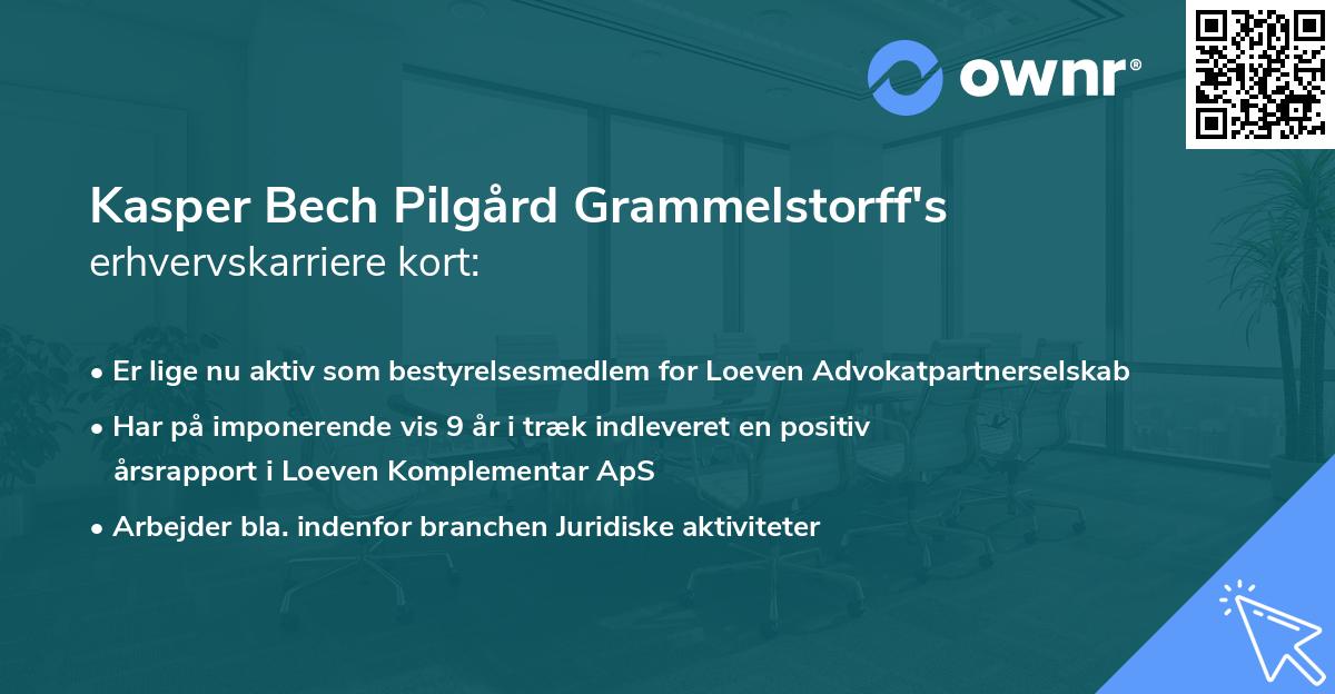 Kasper Bech Pilgård Grammelstorff's erhvervskarriere kort