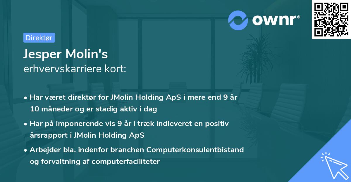 Jesper Molin's erhvervskarriere kort