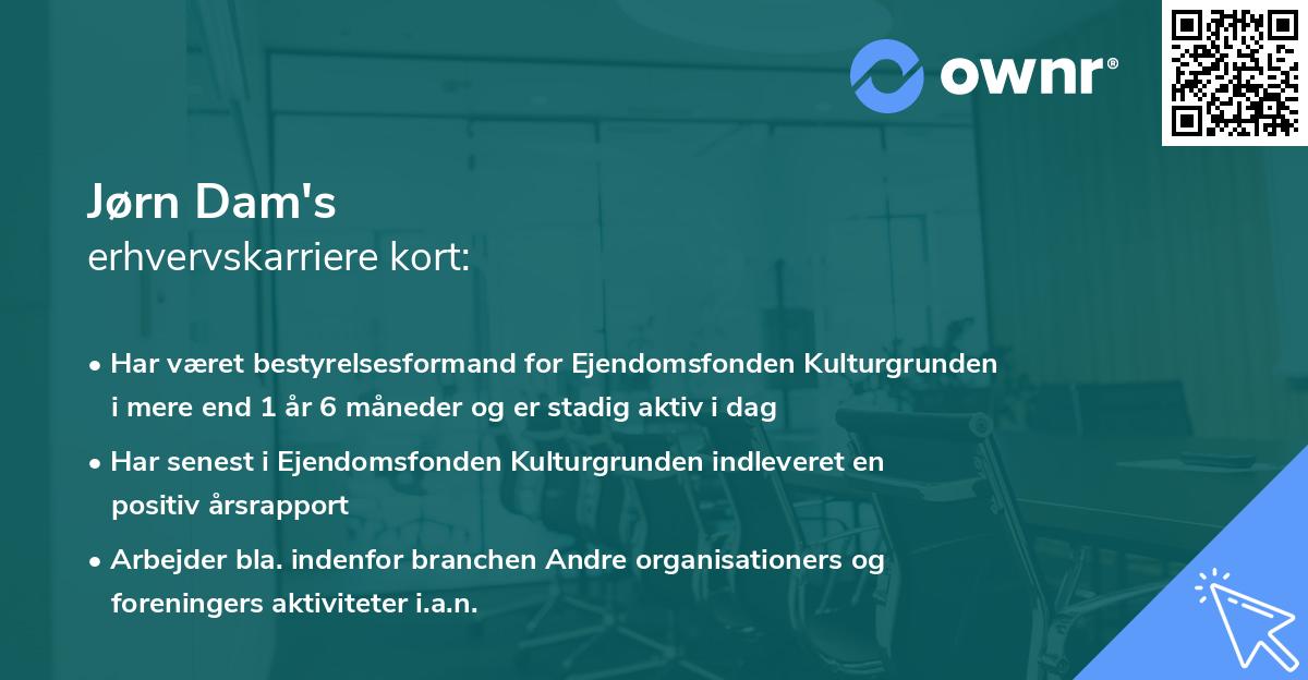 Jørn Dam's erhvervskarriere kort