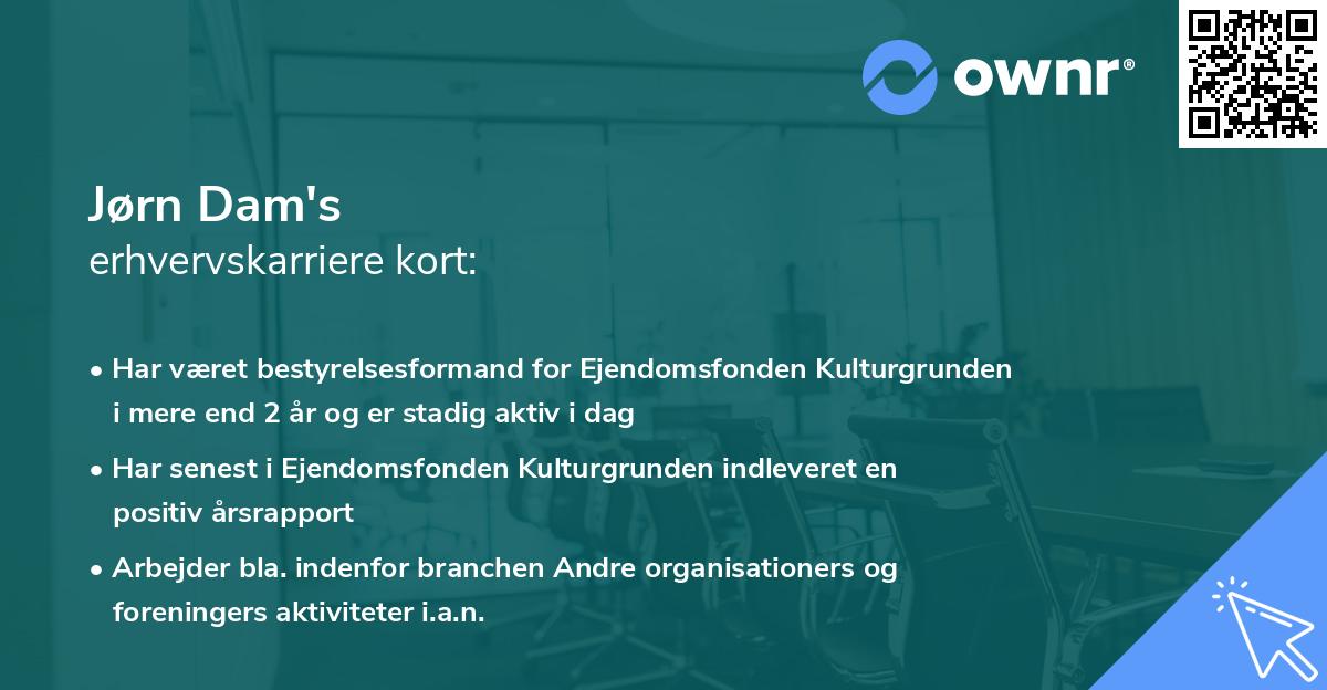 Jørn Dam's erhvervskarriere kort