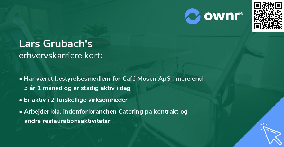 Lars Grubach's erhvervskarriere kort