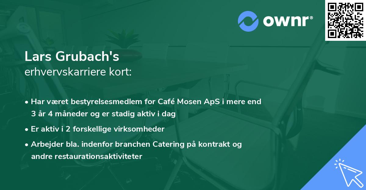 Lars Grubach's erhvervskarriere kort