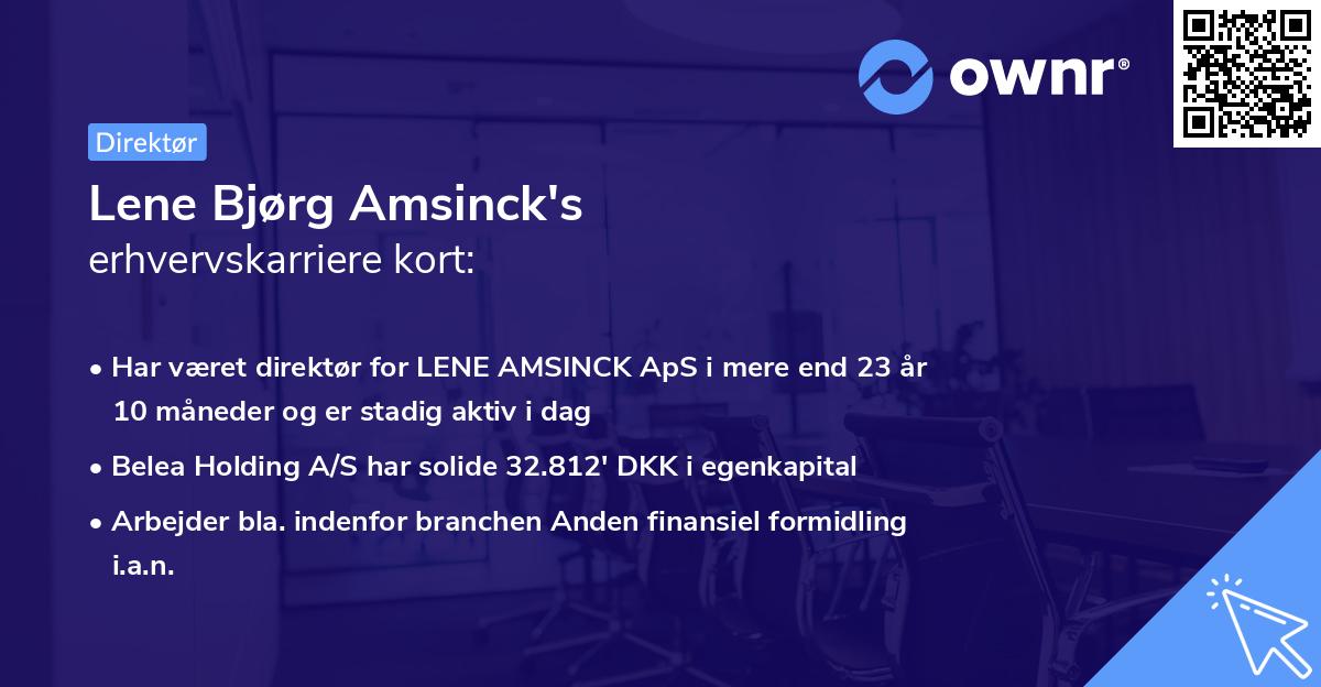 Lene Bjørg Amsinck's erhvervskarriere kort
