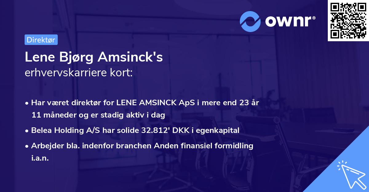 Lene Bjørg Amsinck's erhvervskarriere kort