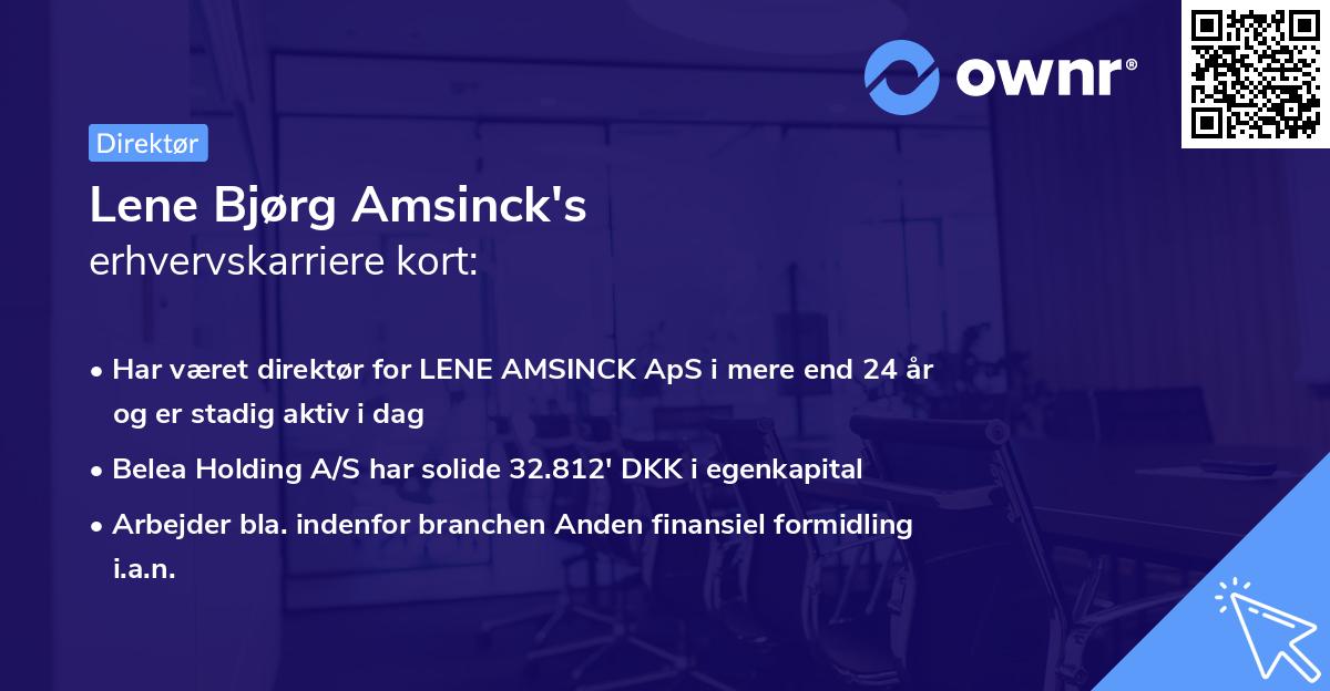 Lene Bjørg Amsinck's erhvervskarriere kort