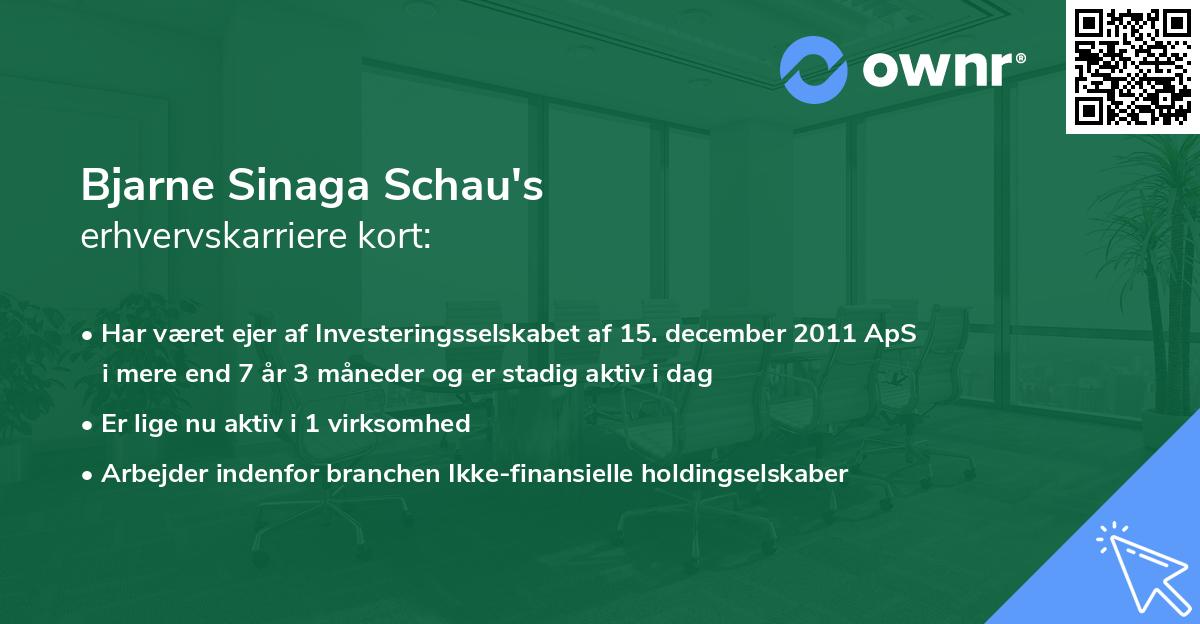 Bjarne Sinaga Schau's erhvervskarriere kort