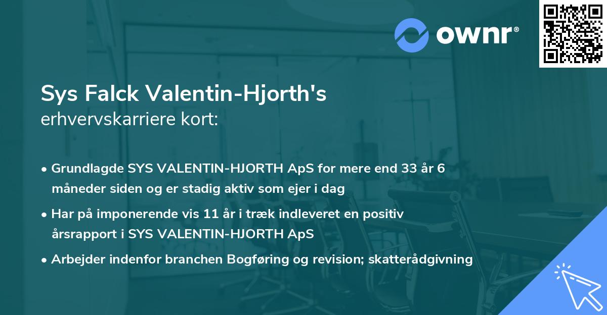 Sys Falck Valentin-Hjorth's erhvervskarriere kort