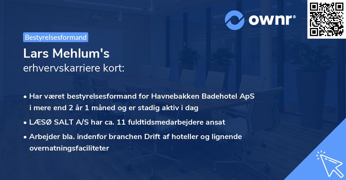 Lars Mehlum's erhvervskarriere kort