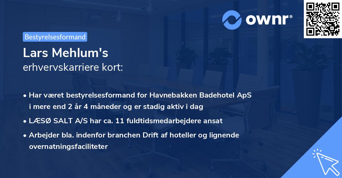 Lars Mehlum's erhvervskarriere kort