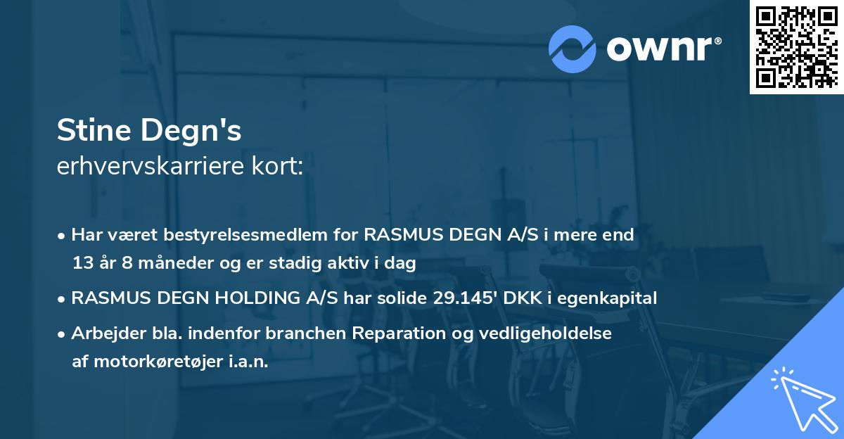 Stine Degn's erhvervskarriere kort