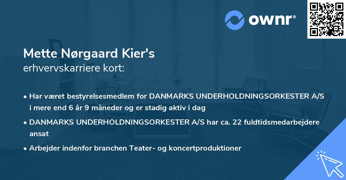 Mette Nørgaard Kier's erhvervskarriere kort