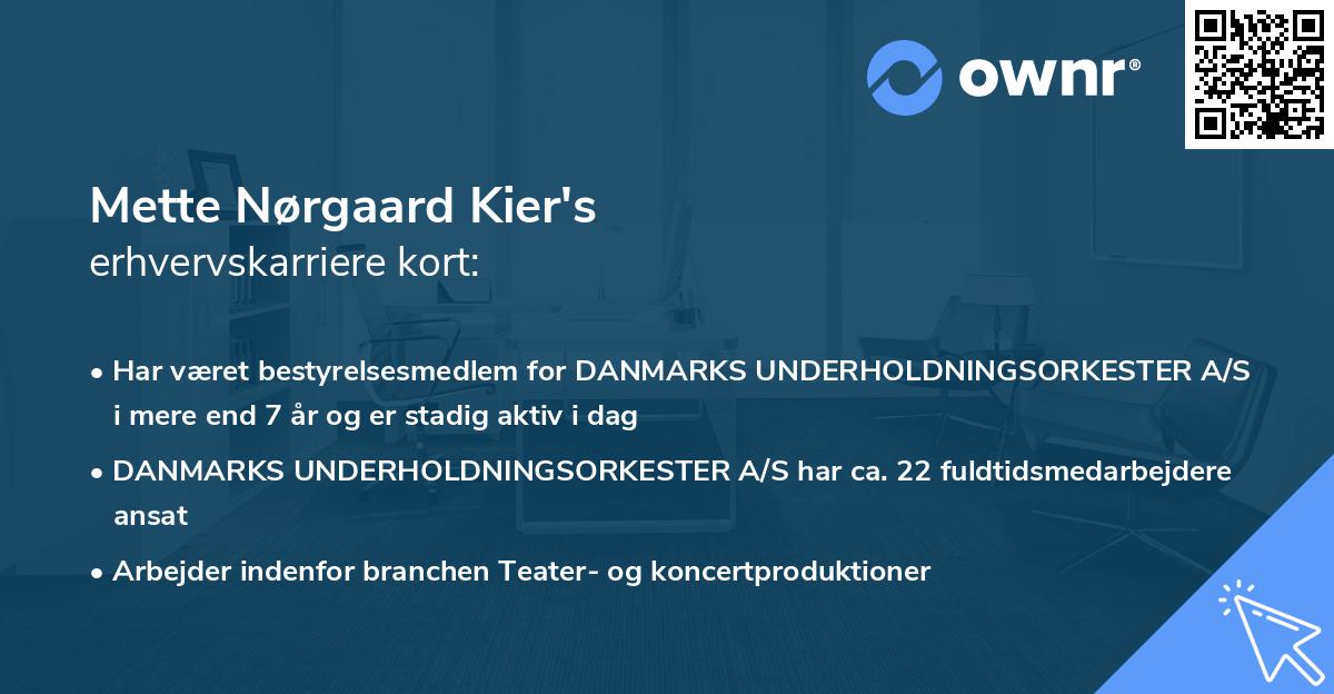 Mette Nørgaard Kier's erhvervskarriere kort