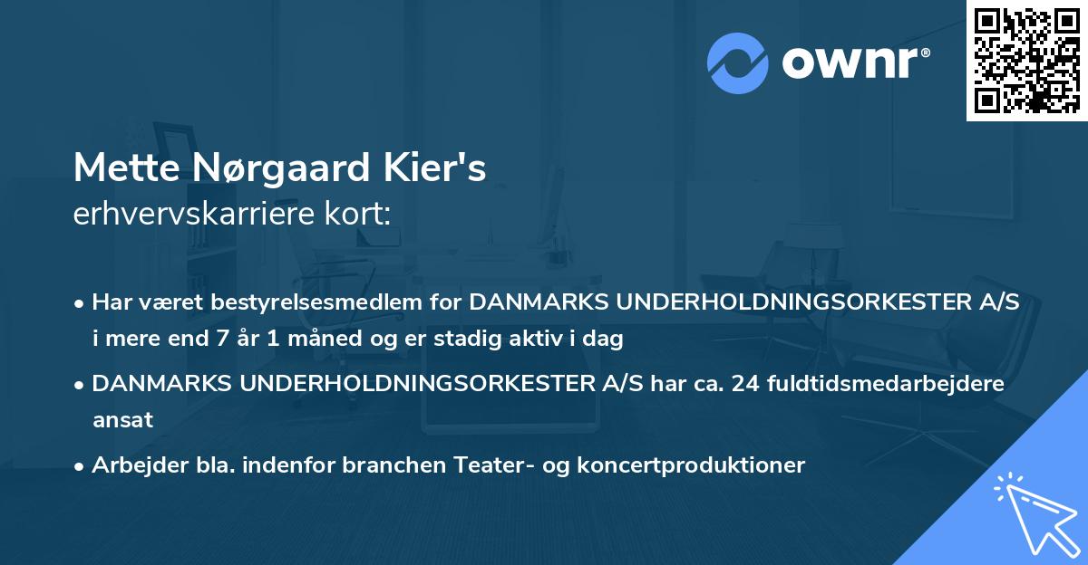 Mette Nørgaard Kier's erhvervskarriere kort