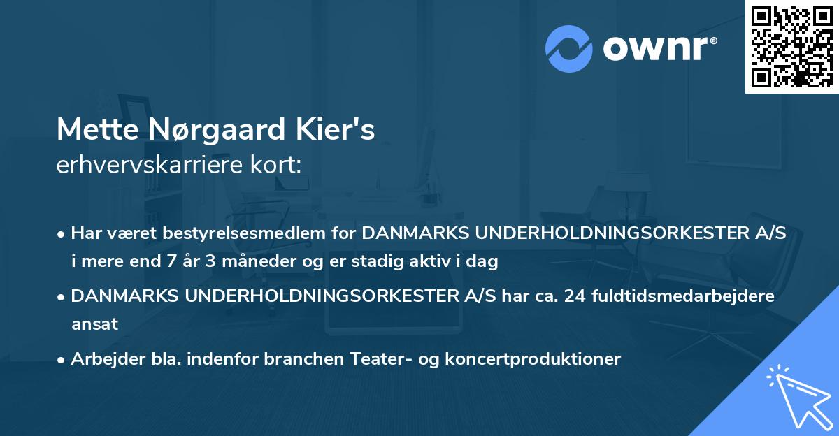 Mette Nørgaard Kier's erhvervskarriere kort