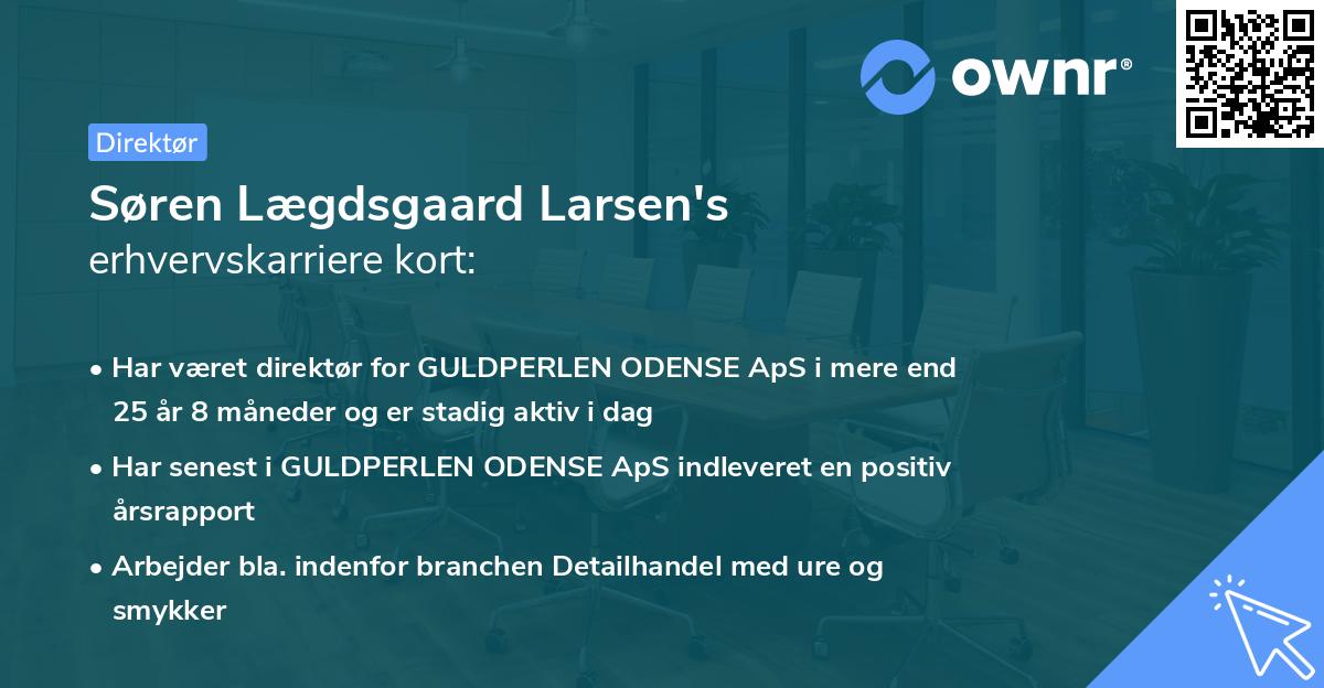 Søren Lægdsgaard Larsen's erhvervskarriere kort