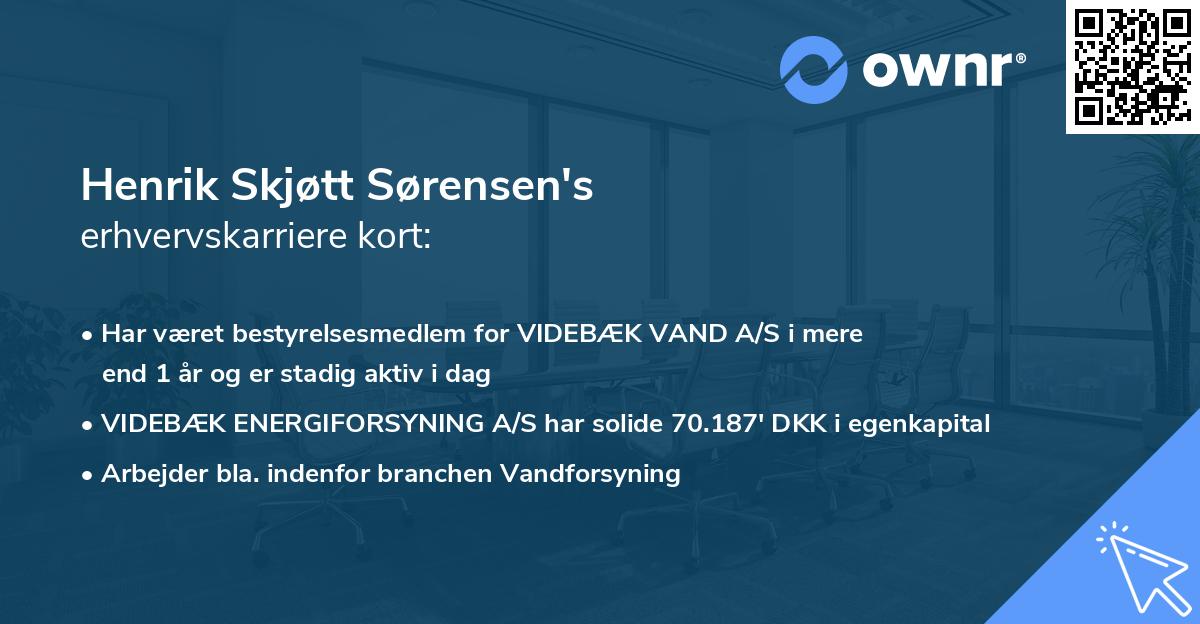 Henrik Skjøtt Sørensen's erhvervskarriere kort